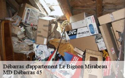 Débarras d'appartement  le-bignon-mirabeau-45210 MD Débarras 45