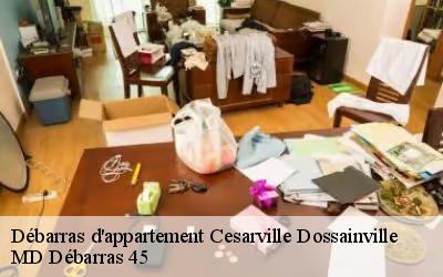 Débarras d'appartement  cesarville-dossainville-45300 MD Débarras 45