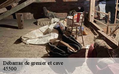 Débarras de grenier et cave  autruy-le-chatel-45500 MD Débarras 45