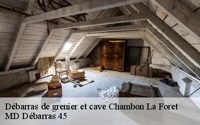 Débarras de grenier et cave  chambon-la-foret-45340 MD Débarras 45