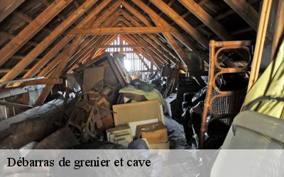Débarras de grenier et cave  leouville-45480 MD Débarras 45