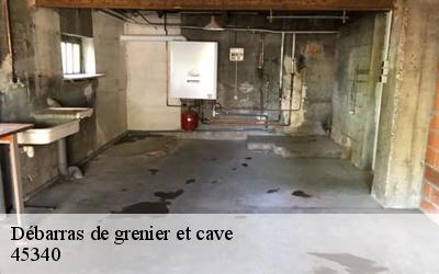 Débarras de grenier et cave  montbarrois-45340 MD Débarras 45