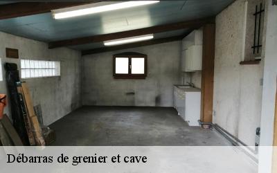 Débarras de grenier et cave  ouzouer-sur-trezee-45250 MD Débarras 45