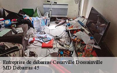 Entreprise de débarras  cesarville-dossainville-45300 MD Débarras 45