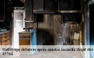 Nettoyage debarras après sinistre incendie dégât des eaux   boigny-sur-bionne-45760 MD Débarras 45