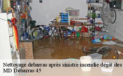 Nettoyage debarras après sinistre incendie dégât des eaux   pannes-45700 MD Débarras 45