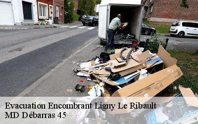 Evacuation Encombrant  ligny-le-ribault-45240 MD Débarras 45
